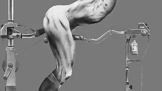 9008 gay cock porn videos